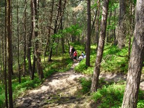 Wanderweg