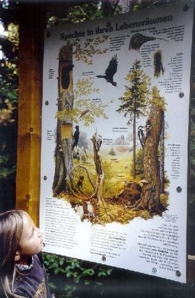 Naturlehrpfad