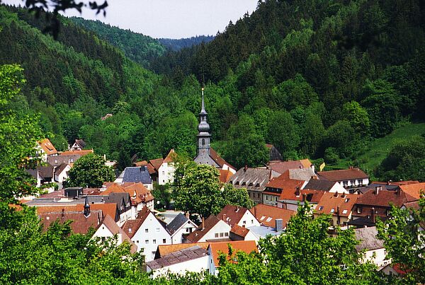 Blick auf das idyllisch gelegene Wirsberg